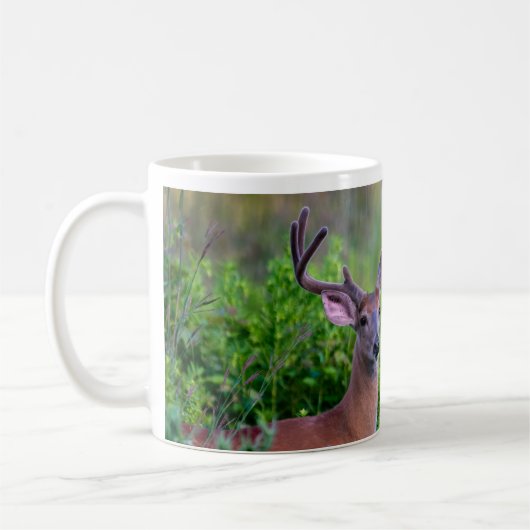 Mug Buck in meadow (Gauche)