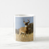 Mug Buck Whitetail (Centre)