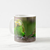 Mug Budgerigar (Devant gauche)