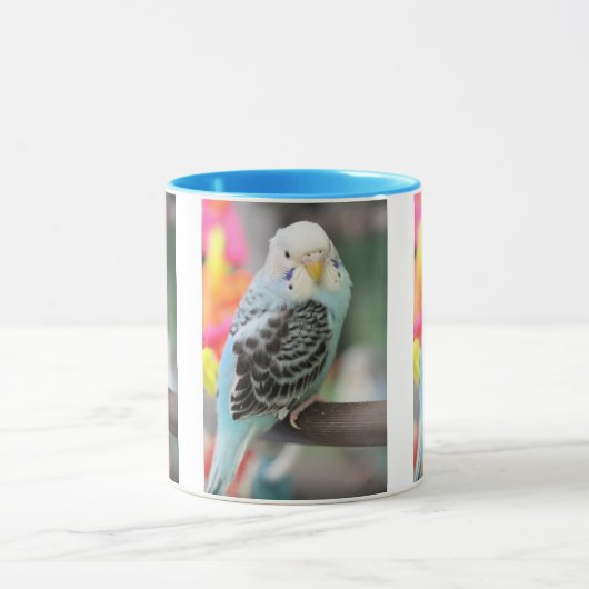 Mug Budgie (Centre)