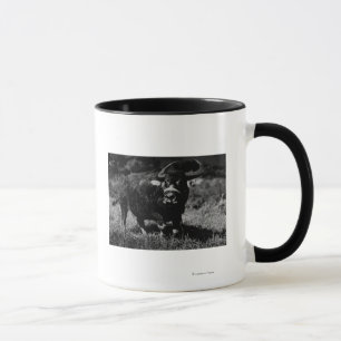 Mug Buffalo d'eau de HawaiiA PhotographHawaii