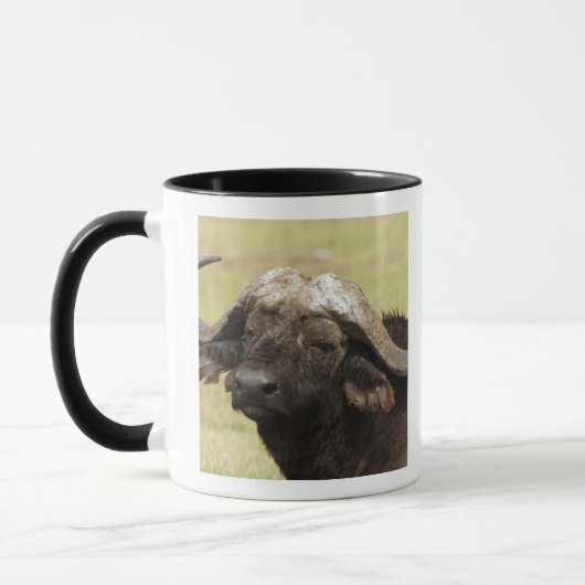 Mug Buffle africain, caffer de Syncerus (Gauche)
