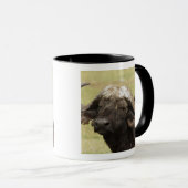 Mug Buffle africain, caffer de Syncerus (Devant droit)