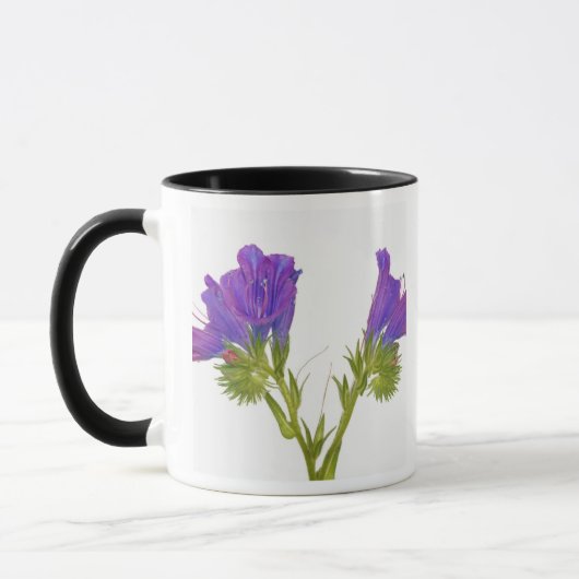 Mug Bugloss pourpre de vipères (plantagineum d'echium) (Gauche)
