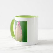 Mug Bulbe Lily de l'eau non ouverte, Durban Botanique (Devant gauche)