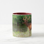 Mug Bull Elk dans la chaîne nationale de bisons, Monta (Centre)