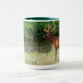 Mug Bull Elk dans la chaîne nationale de bisons, Monta (Centre)