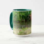 Mug Bull Elk dans la chaîne nationale de bisons, Monta (Devant gauche)