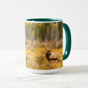 Mug Bull Elk   Rocky Mountain National Park Colorado