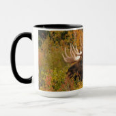 Mug Bull Moose | Parc national de Denali, Alaska (Gauche)