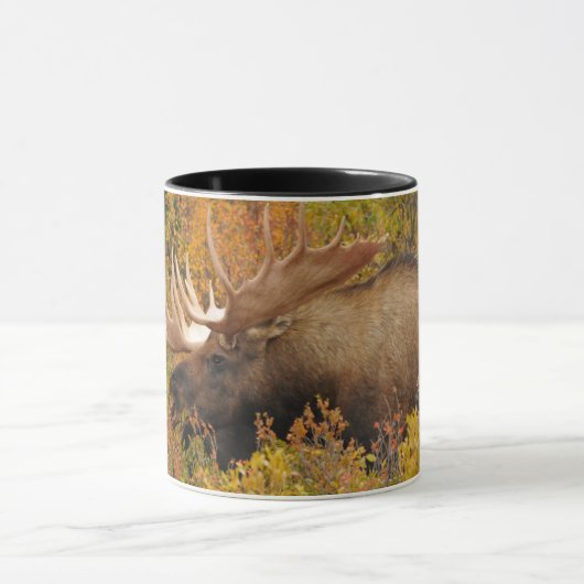 Mug Bull Moose | Parc national de Denali, Alaska (Centre)