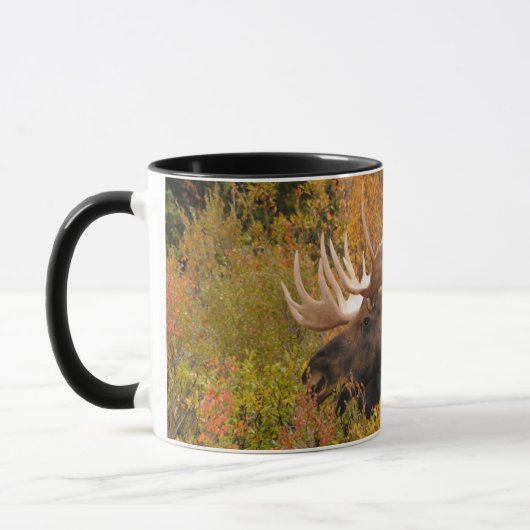 Mug Bull Moose | Parc national de Denali, Alaska (Gauche)