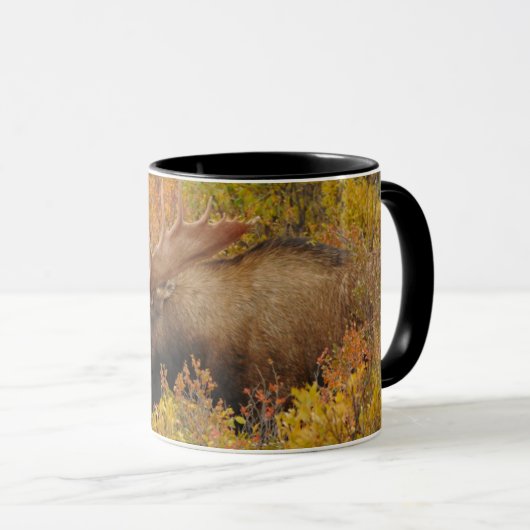 Mug Bull Moose | Parc national de Denali, Alaska (Devant droit)