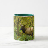 Mug Bull Roosevelt Elk (Centre)