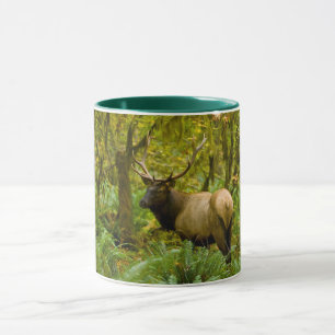 Mug Bull Roosevelt Elk