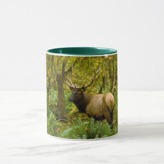 Mug Bull Roosevelt Elk (Centre)
