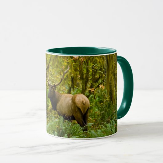 Mug Bull Roosevelt Elk (Devant droit)