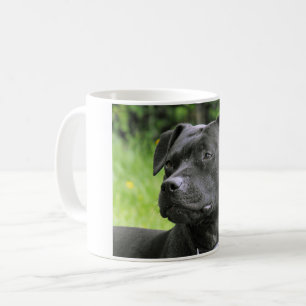 Mug Bull-terrier du Staffordshire