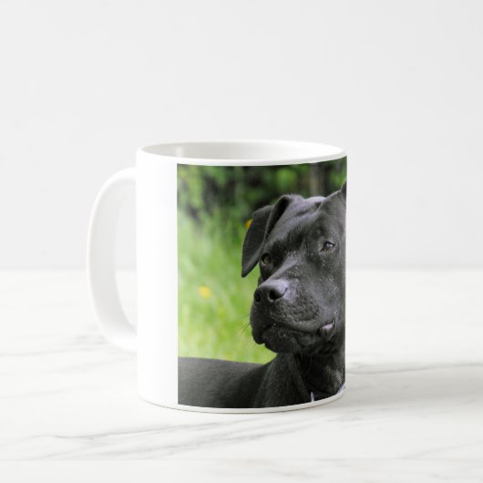 Mug Bull-terrier du Staffordshire (Devant gauche)