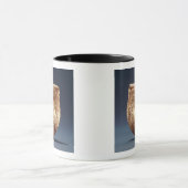 Mug Bulla, marais d'Allen, comté Kildare (Centre)