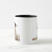 Mug Bulls-terrier (Centre)