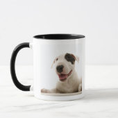 Mug Bulls-terrier (Gauche)