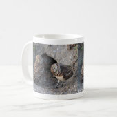 Mug Burrowing Owl (Devant gauche)