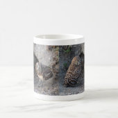 Mug Burrowing Owl (Centre)