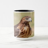 Mug Buse à queue rouge dans la vallée de l'Hudson (Centre)