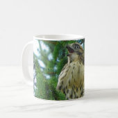 Mug Buse à queue rousse (Devant gauche)