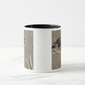 Mug Buse de Harris rapace perché (Centre)