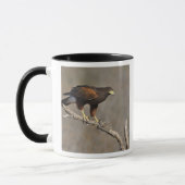 Mug Buse de Harris rapace perché (Gauche)