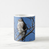 Mug Buse de la queue rouge (Centre)