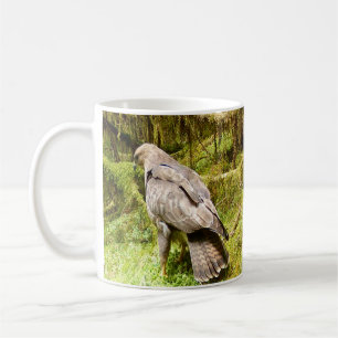 Mug Buse fouillant les insectes des prairies Faune bri