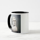 Mug Buste de copie de Pericles d'un original grec (Devant gauche)