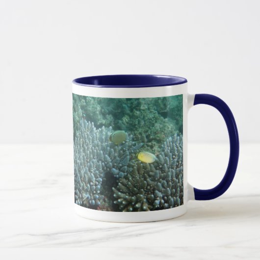 Mug Butterflyfish de perches de la Manche (lunulatus (Droite)