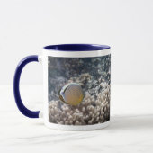 Mug Butterflyfish de perches de la Manche (lunulatus (Gauche)