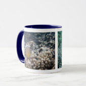 Mug Butterflyfish de perches de la Manche (lunulatus (Devant gauche)