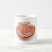 MUG BZH22-1010-50 (Centre)