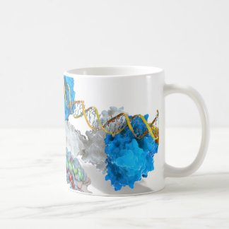 Mug C-MYC et entaille liant l'ADN