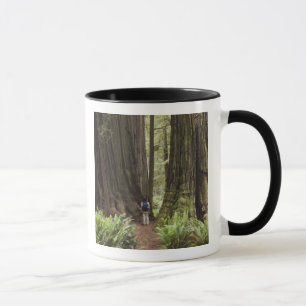 Mug CA, Jedediah Smith Redwoods State Park,