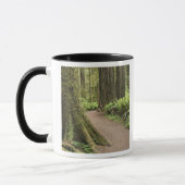 Mug CA, Jedediah Smith State Park, Simpson Reed (Gauche)