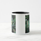 Mug CA, Panama, Soberania NP, Keel-Billed Tuccan (Centre)