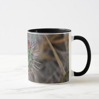 Mug Cactus