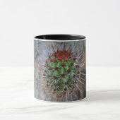 Mug Cactus (Centre)