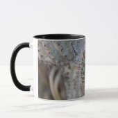 Mug Cactus (Gauche)