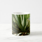 Mug Cactus (Centre)