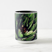 Mug Cactus, Cactus Plantes (Centre)
