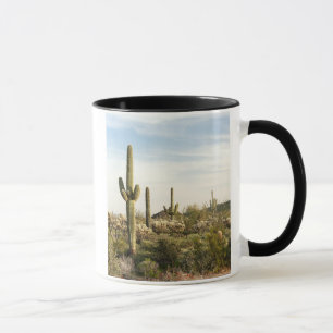 Mug Cactus de Saguaro, Arizona, Etats-Unis