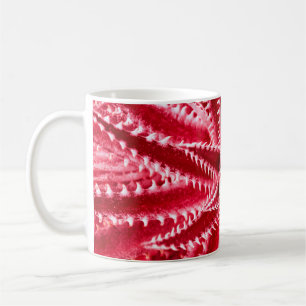 Mug cactus d'épine, motif naturel, backgrou rouge abst